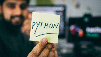 python developer job description